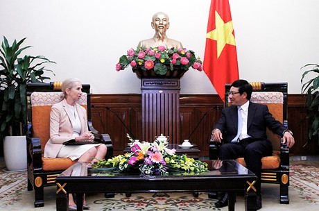 Вице-премьер, глава МИД Вьетнама принял посла Норвегии - ảnh 1